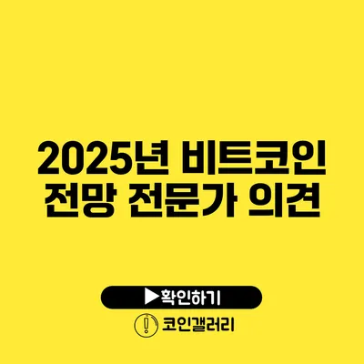 2025년 비트코인 전망: 전문가 의견