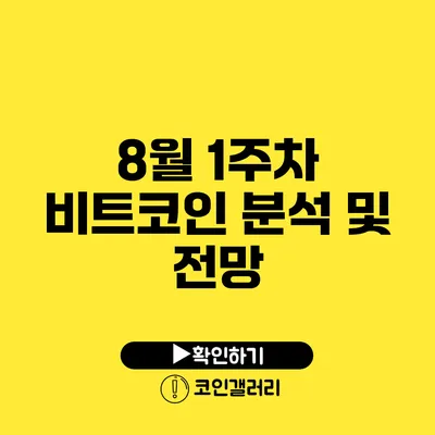 8월 1주차 비트코인 분석 및 전망