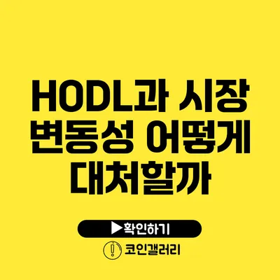 HODL과 시장 변동성: 어떻게 대처할까?