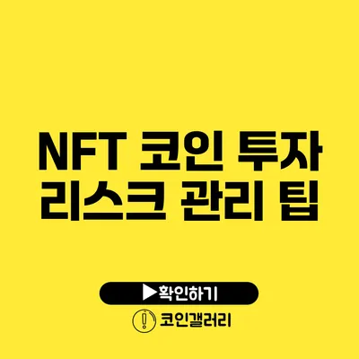 NFT 코인 투자 리스크 관리 팁