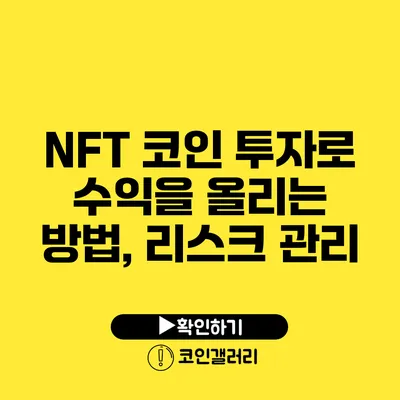 NFT 코인 투자로 수익을 올리는 방법, 리스크 관리