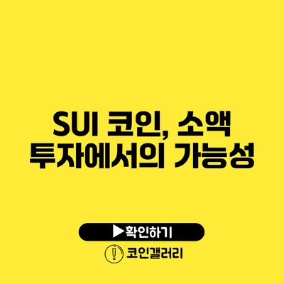 SUI 코인, 소액 투자에서의 가능성