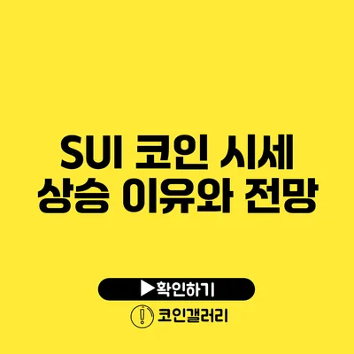 SUI 코인 시세 상승 이유와 전망