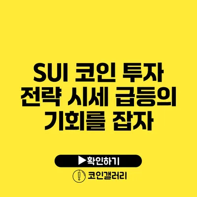 SUI 코인 투자 전략: 시세 급등의 기회를 잡자