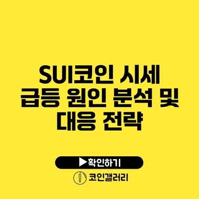 SUI코인 시세 급등 원인 분석 및 대응 전략