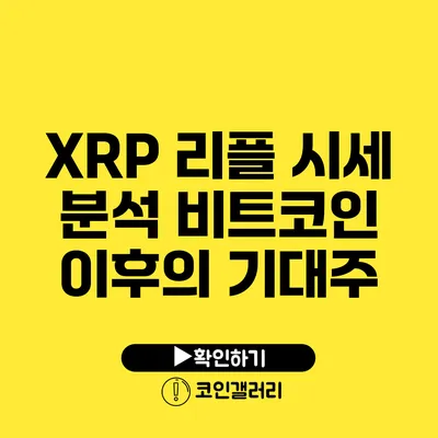 XRP 리플 시세 분석: 비트코인 이후의 기대주