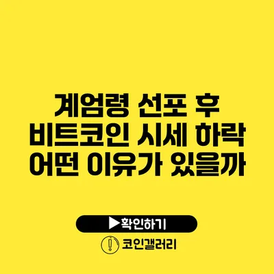 계엄령 선포 후 비트코인 시세 하락: 어떤 이유가 있을까?