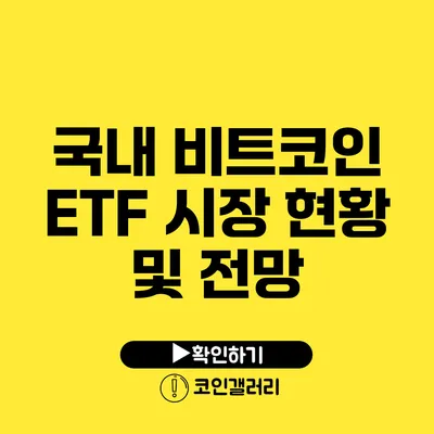 국내 비트코인 ETF 시장 현황 및 전망