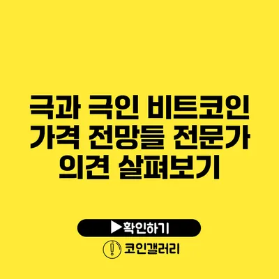 극과 극인 비트코인 가격 전망들: 전문가 의견 살펴보기