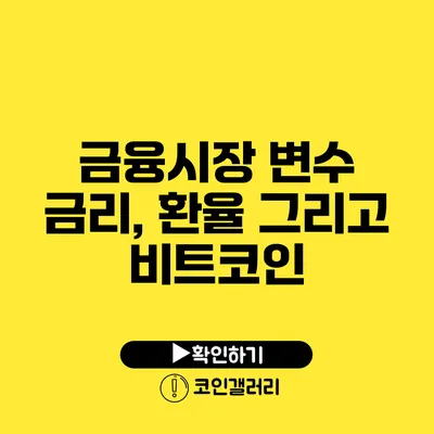 금융시장 변수: 금리, 환율 그리고 비트코인