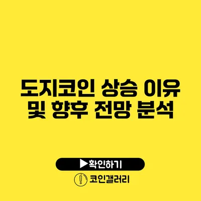 도지코인 상승 이유 및 향후 전망 분석