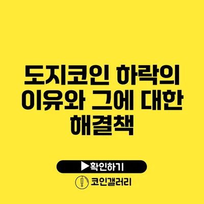 도지코인 하락의 이유와 그에 대한 해결책