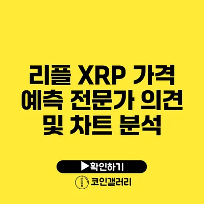 리플 XRP 가격 예측: 전문가 의견 및 차트 분석