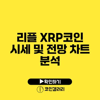 리플 XRP코인 시세 및 전망 차트 분석