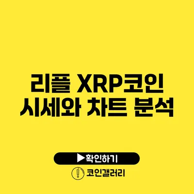 리플 XRP코인 시세와 차트 분석