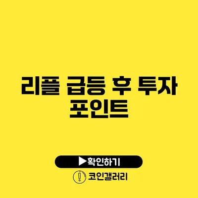 리플 급등 후 투자 포인트