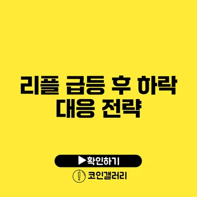 리플 급등 후 하락 대응 전략