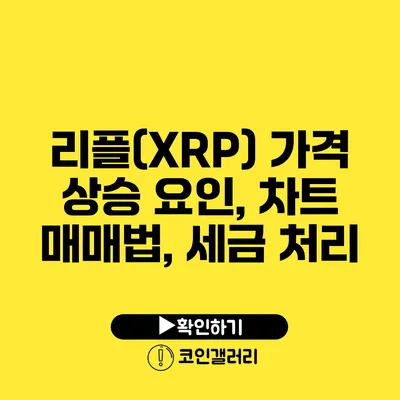 리플(XRP) 가격 상승 요인, 차트 매매법, 세금 처리