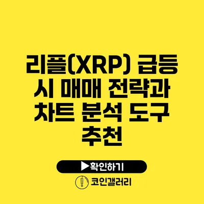 리플(XRP) 급등 시 매매 전략과 차트 분석 도구 추천