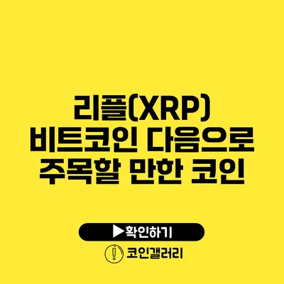 리플(XRP): 비트코인 다음으로 주목할 만한 코인