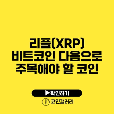 리플(XRP): 비트코인 다음으로 주목해야 할 코인