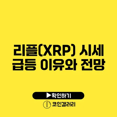 리플(XRP) 시세 급등 이유와 전망