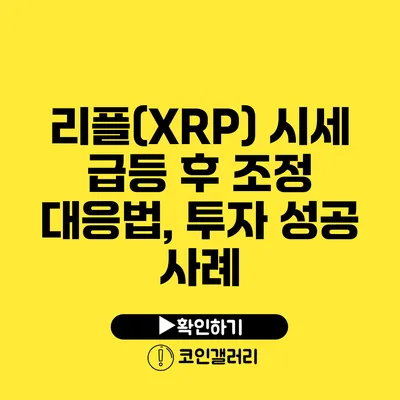 리플(XRP) 시세 급등 후 조정 대응법, 투자 성공 사례