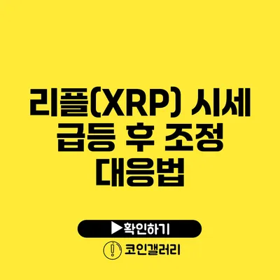 리플(XRP) 시세 급등 후 조정 대응법