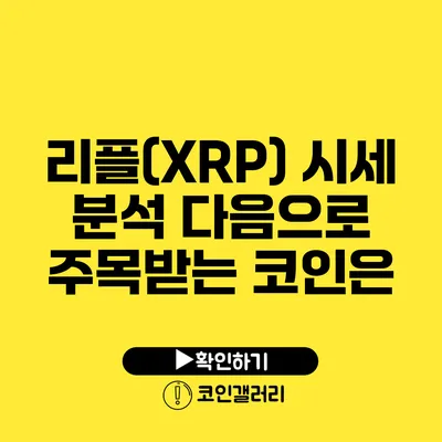 리플(XRP) 시세 분석: 다음으로 주목받는 코인은?