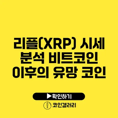 리플(XRP) 시세 분석: 비트코인 이후의 유망 코인