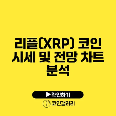 리플(XRP) 코인 시세 및 전망 차트 분석