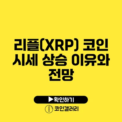 리플(XRP) 코인: 시세 상승 이유와 전망