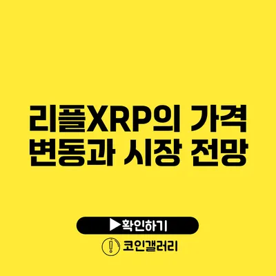 리플XRP의 가격 변동과 시장 전망