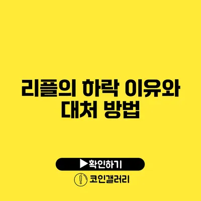 리플의 하락 이유와 대처 방법