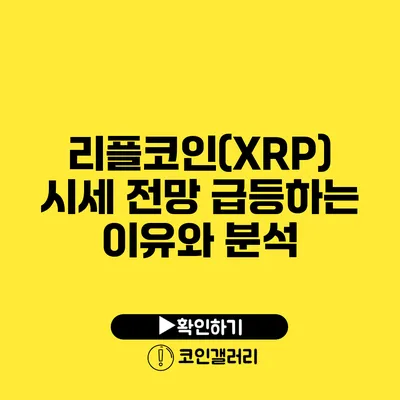 리플코인(XRP) 시세 전망: 급등하는 이유와 분석