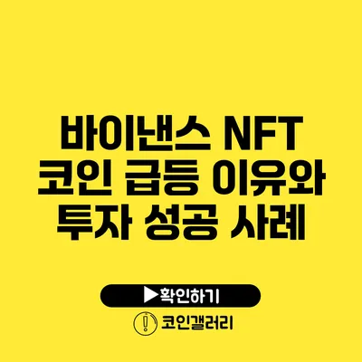 바이낸스 NFT 코인 급등 이유와 투자 성공 사례