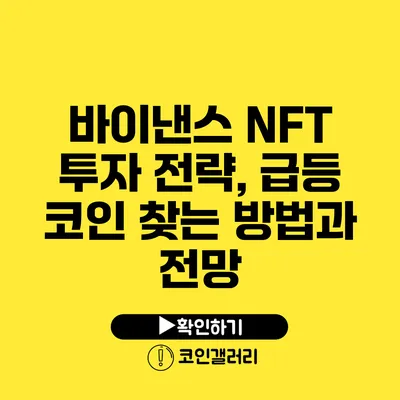 바이낸스 NFT 투자 전략, 급등 코인 찾는 방법과 전망