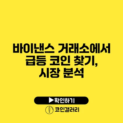 바이낸스 거래소에서 급등 코인 찾기, 시장 분석