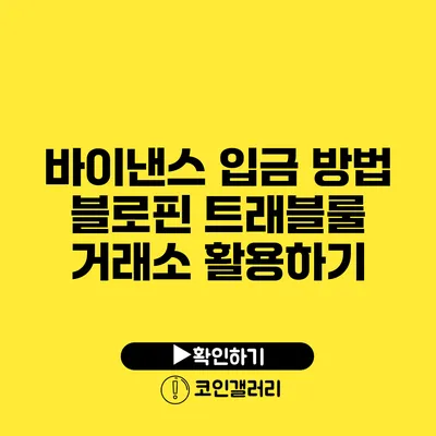 바이낸스 입금 방법: 블로핀 트래블룰 거래소 활용하기