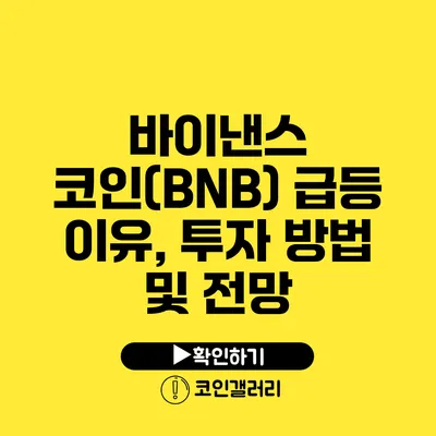 바이낸스 코인(BNB) 급등 이유, 투자 방법 및 전망