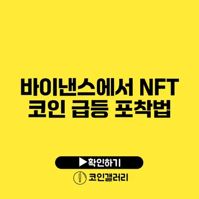 바이낸스에서 NFT 코인 급등 포착법