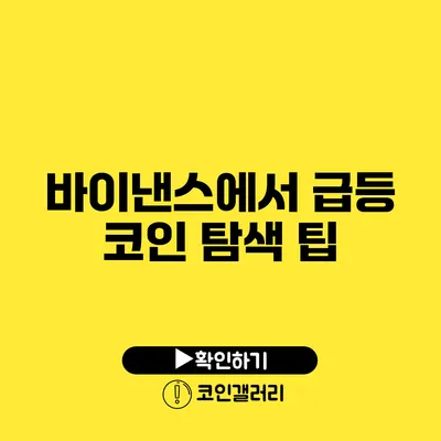 바이낸스에서 급등 코인 탐색 팁