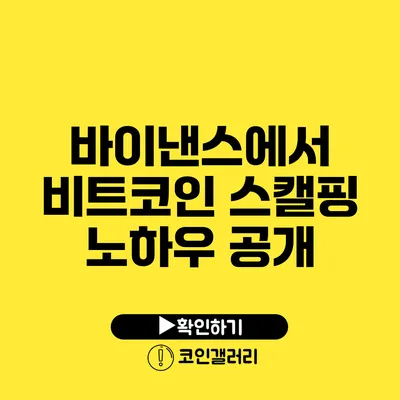 바이낸스에서 비트코인 스캘핑 노하우 공개