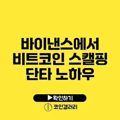 바이낸스에서 비트코인 스캘핑 단타 노하우