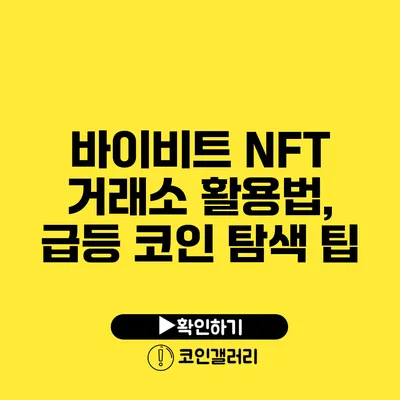 바이비트 NFT 거래소 활용법, 급등 코인 탐색 팁