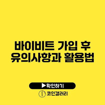 바이비트 가입 후 유의사항과 활용법