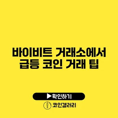 바이비트 거래소에서 급등 코인 거래 팁