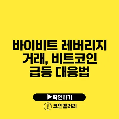 바이비트 레버리지 거래, 비트코인 급등 대응법