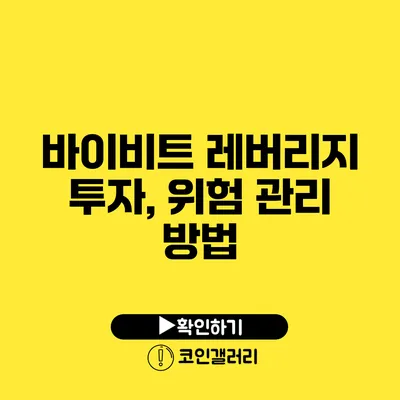 바이비트 레버리지 투자, 위험 관리 방법