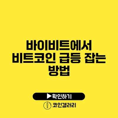 바이비트에서 비트코인 급등 잡는 방법